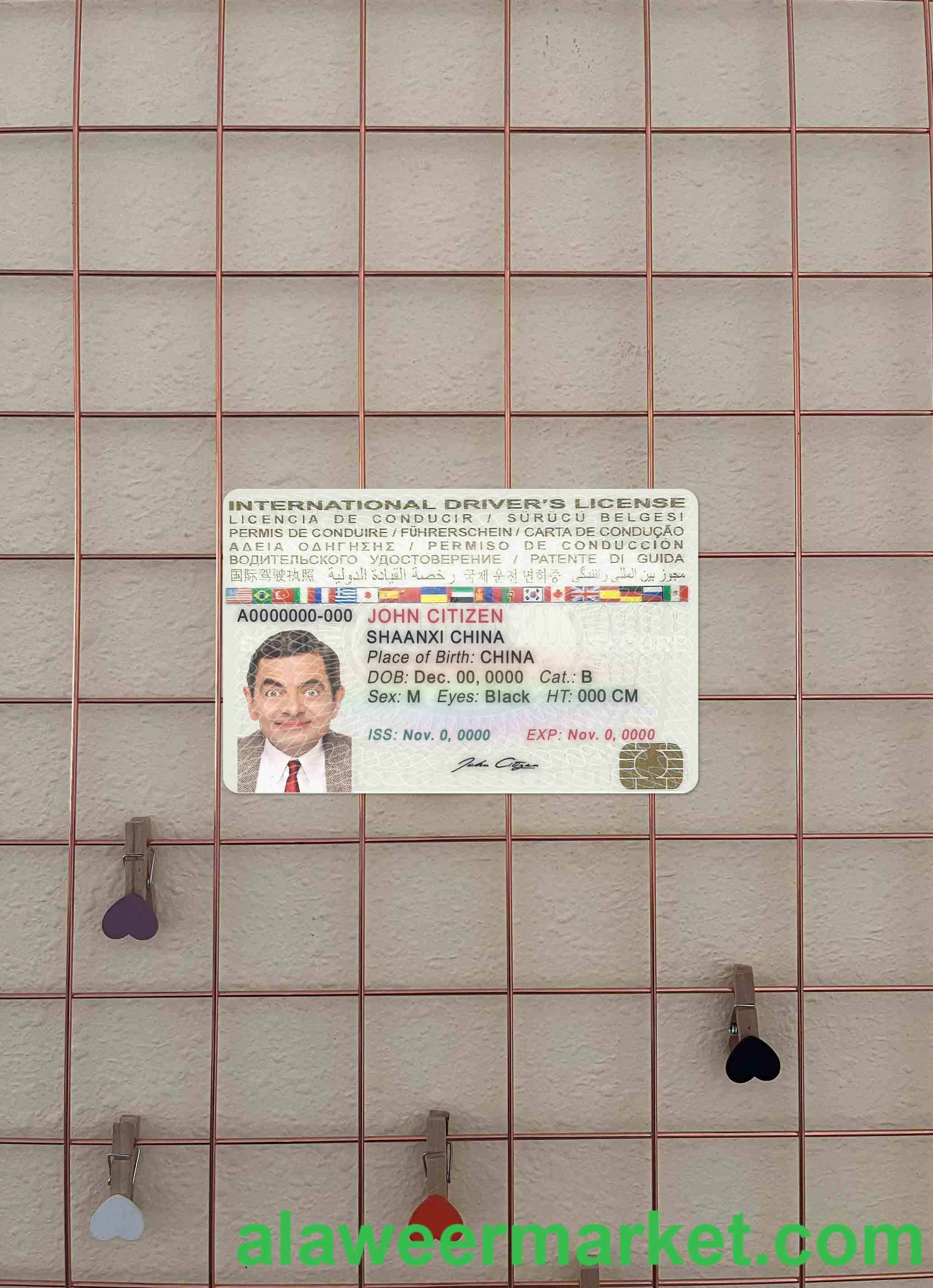 International driver's license photolook FRONT